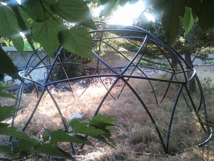 jardin